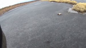 Весенняя охота на уток на Вилюйских заливах
