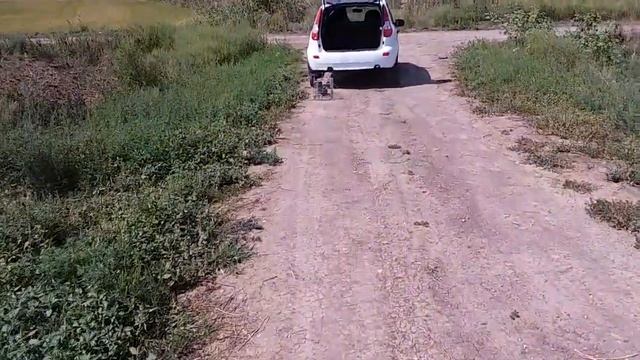 Обзор Котоловки Для Отлова Кота и Вех Вредителей ??... смотреть онлайн