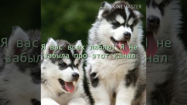 Небольшие новости! Я вернулась!