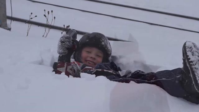 питбуль Спарта. Снежная весна 2018