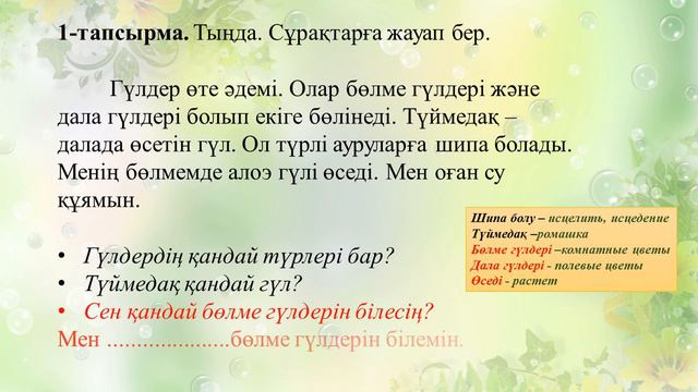 2 сынып Гүлдер смотреть онлайн