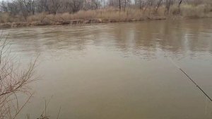 Ловля НАЛИМА ДНËМ на УДОЧКУ!!! ЛОВЛЯ НАЛИМА ВЕСНОЙ 2021