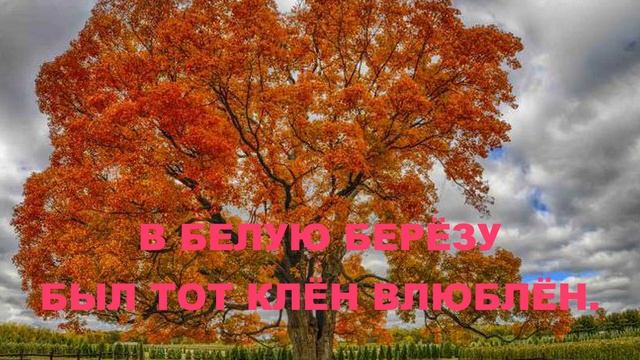 БЕЛЫЕ БЕРЁЗЫ- ТРЕЛИ СОЛОВЬЯ ! (автор Николай Ткаченко) смотреть онлайн