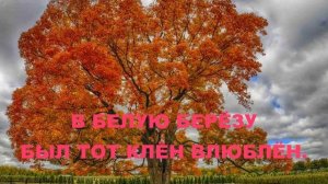 БЕЛЫЕ БЕРЁЗЫ- ТРЕЛИ СОЛОВЬЯ ! (автор Николай Ткаченко)