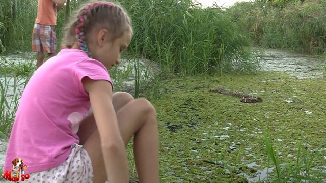 В поисках Болотного Монстра. Чем опасно болото.