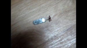 Рыбалка на Таймыре