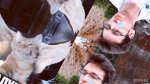 симбочка младший и старший и их хозяин!🥰 #симбочка #светлая память Симбочке