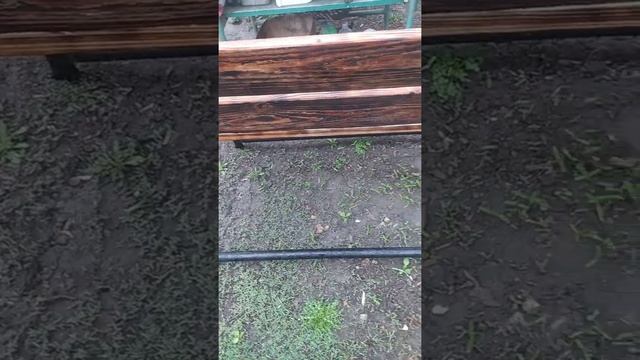 Чем пропитать лавки на улице!