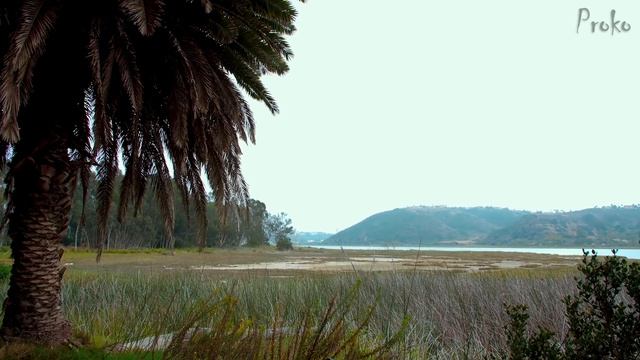 Getting Better Faster - Painting with 80/20 Rule смотреть онлайн