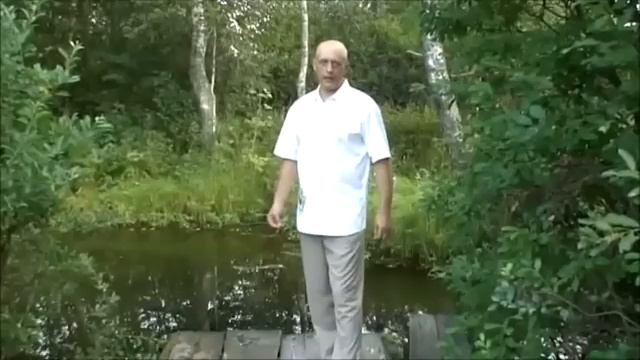 Целебная сила деревьев (часть __16)
