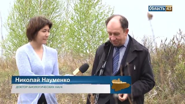 На севере Курганской области цветёт миндаль с ядовитыми плодами смотреть онлайн