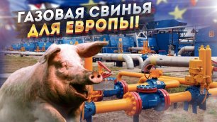Россия подложила ещё одну газовую свинью Европе