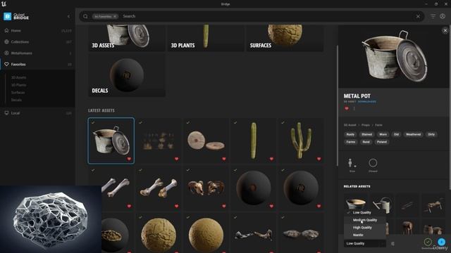 14 Как изменить качество ассетов в Quixel Megascans с помощью Quixel Bridge и добавлени их в Unreal
