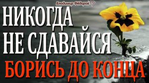 Никогда Не Сдавайся и Борись До Конца! Мотивирующая Притча "Ослик в Колодце!"