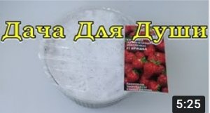 Сеем ЗЕМЛЯНИКУ ПО СНЕГУ???