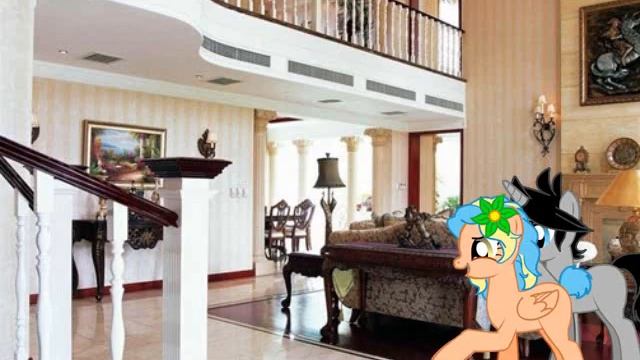 ПОНИ ПРИКОЛ ПАРЕНЬ ПОДАРИЛ ДЕВУШКЕ КОТЕНКА смотреть онлайн