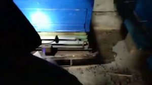Сколько мёда в месяц пчёлы съедают на Урале в суровую зиму #вековаяпасека