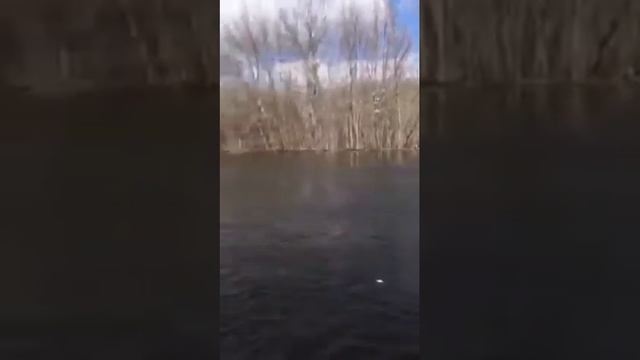 Доставка техники для монтажа свай в Самаре по реке смотреть онлайн