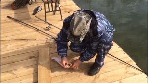 20/04/18 Ловля крупной форели на основном водоеме Савельево-2!!!