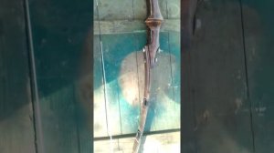 Лук с пилы дружба 2, своими руками))!