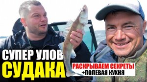 Рыбалка на СУДАКА 2024: ЛУЧШИЙ цвет приманки, где и на что ловить. Какого судака можно ловить?