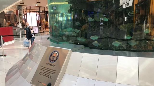 Аквариум торгового центра АВИАПАРК • GUINNESS WORLD RECORDS • Москва смотреть онлайн