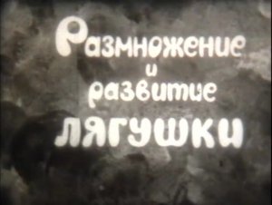 Размножение и развитие лягушки