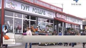 Затишок у домі, вибір кімнатних рослин. - Школа домашнього комфорту, 09.03.2017