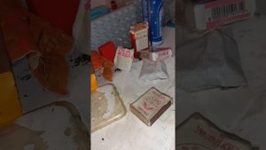 уборка в домике сквиши собачек??