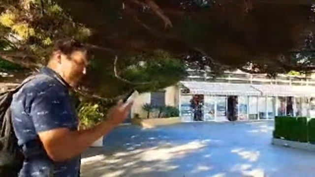 в Сочи Открыли парки Прогулка По Центру Сочи смотреть онлайн