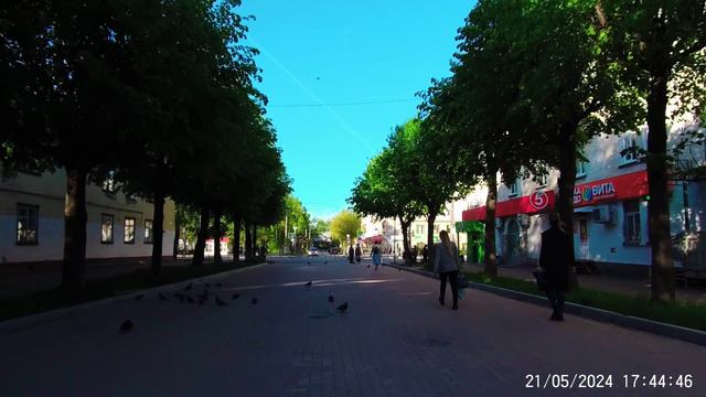 Рябинина улица в Йошкар-Ола май 2024