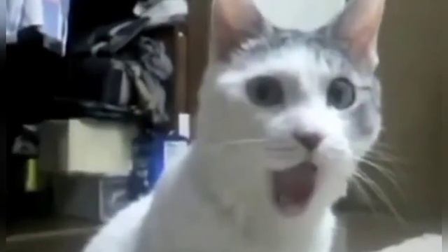 Елена завидова крутая смотреть онлайн