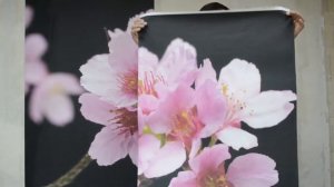 Как правильно поклеить фотообои KLV Oboi