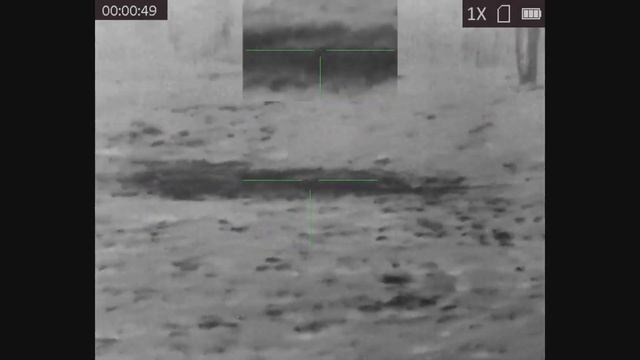 Охота на кабана с вышки 2022 смотреть онлайн