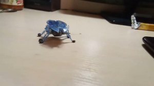 Hexbug большой робот жук🤖