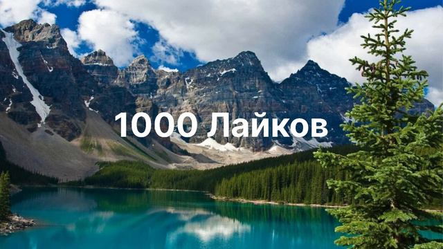 Мои цели