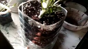Делаем самодельный горшок для цветов на 5 литров.