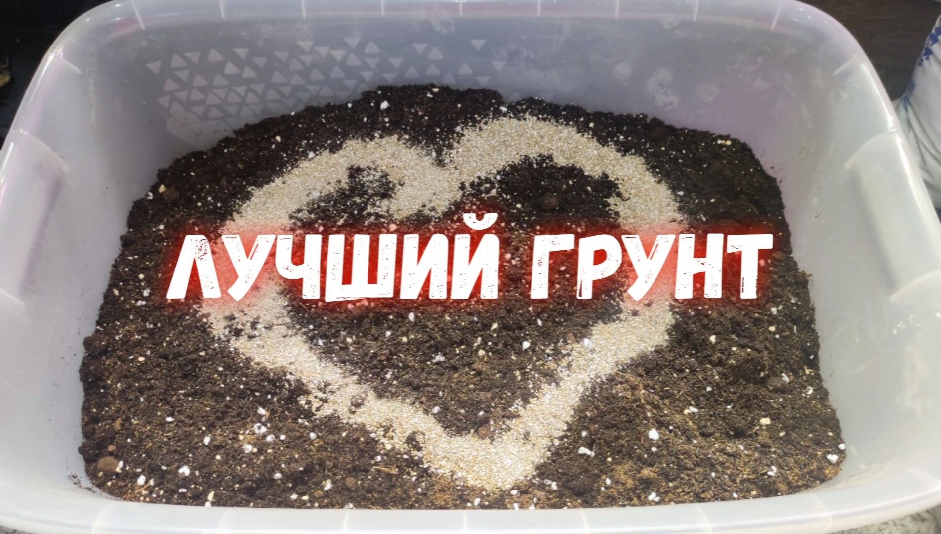 ЛУЧШИЙ ГРУНТ для рассады Томатов, Перцев, Огурцов и рассада будет мощная, здоровая и урожайная