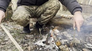 Honda CRF 300 L / Прогулка на мотоцикле / Лесные покатушки