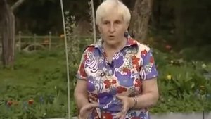 Сад и огород  Посадка капусты и свеклы на одну грядку