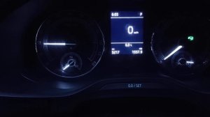 Skoda Kodiaq: неработающий круиз и звуковой сигнал - 5 разных случаев