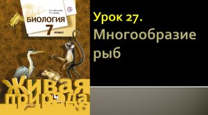 Урок 27. Многообразие рыб