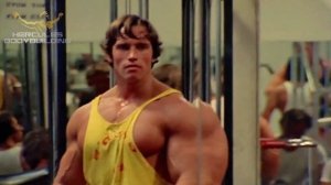 Shock The SHOULDER - Arnold Schwarzenegger Bodybuilding Motivation