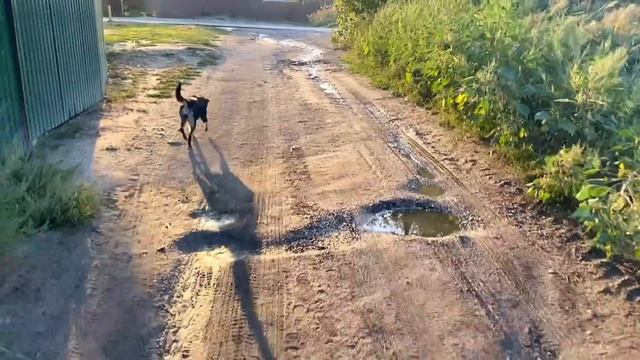 привет от РАЗНОГЛАЗОЙ кругом пыль и цветущая лебеда смотреть онлайн