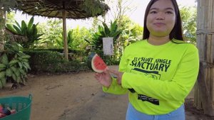 Кафе со Слонами на Пхукете | Обязательно к посещению!