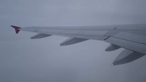 Полет на закате | Airbus A319 а/к Россия | Рейс Москва (Внуково) — Санкт-Петербург (Пулково)