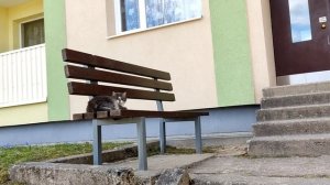 Валга-Валка: Как сейчас выглядит граница Латвия -Эстония? / Valga-Valka.