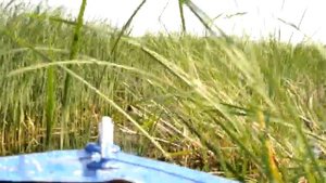 "Болотоход" на Казанке