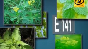 E141 - вредна ли "зеленая" пищевая добавка?