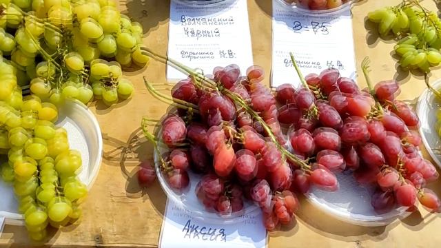 Встреча виноградарей Харьковщины 2021